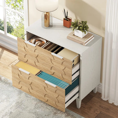 MonoWood 2-Drawer File Cabinet, Lateral Filing Cabinet for A4/Letter/Legal Size, Office Storage Cabinet, Printer Stand with St