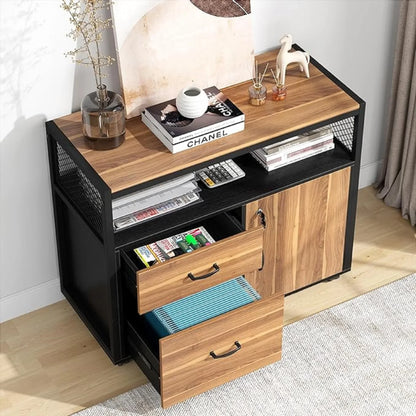 MonoWood Modern File Cabinet with Drawers for Letter-sized File and Door, Lockable lateral Filing Cabinet Printer Stand