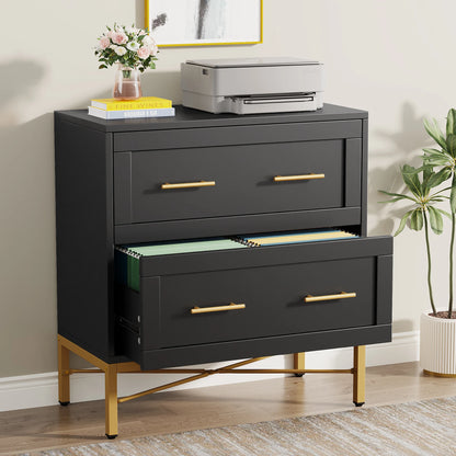 MonoWood 2 Drawer File Cabinet, Modern Lateral Filing Cabinet for Letter/Legal/A4 Size, Large File Storage Cabinets