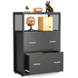 MonoWood 2 Drawer File Cabinet with Lock, Large Lateral Filing Cabinet for Letter/Legal / A4 Size, Wood Printer Stand