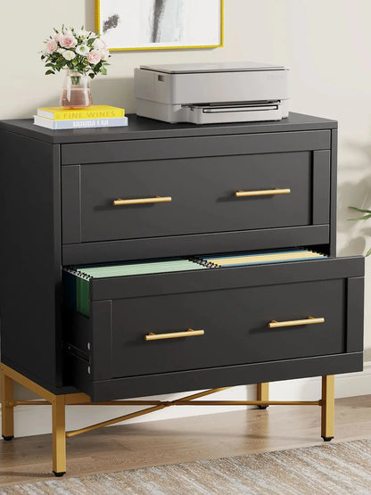 MonoWood 2 Drawer File Cabinet, Modern Lateral Filing Cabinet for Letter/Legal/A4 Size, Large File Storage Cabinets