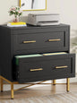 MonoWood 2 Drawer File Cabinet, Modern Lateral Filing Cabinet for Letter/Legal/A4 Size, Large File Storage Cabinets